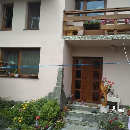 Casa Teo Hotel Ocna Sibiului Exterior photo