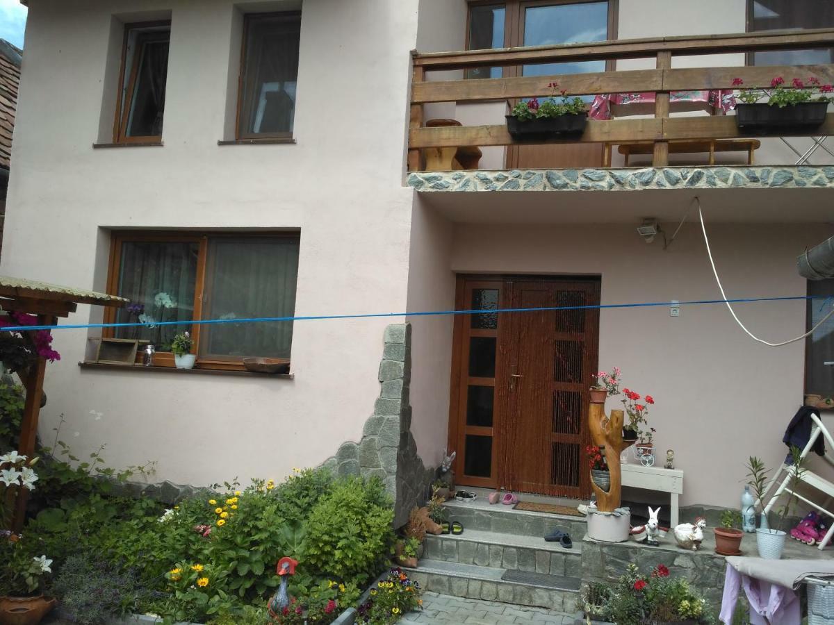 Casa Teo Hotel Ocna Sibiului Exterior photo